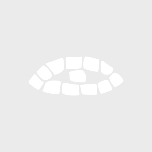 AVANTURE MALOG DINOSAURA 