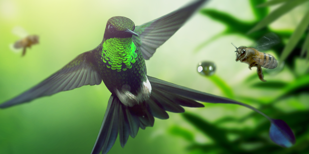 ZEMLJA: JEDAN ČUDESAN DAN