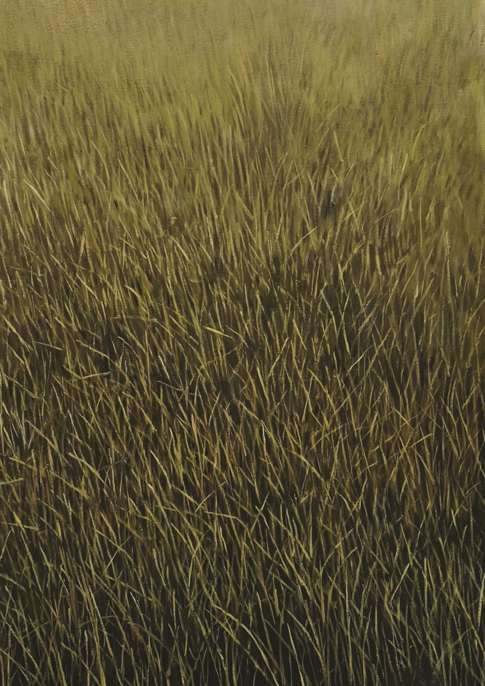 RADOVAN KUNIĆ / Neistraženo