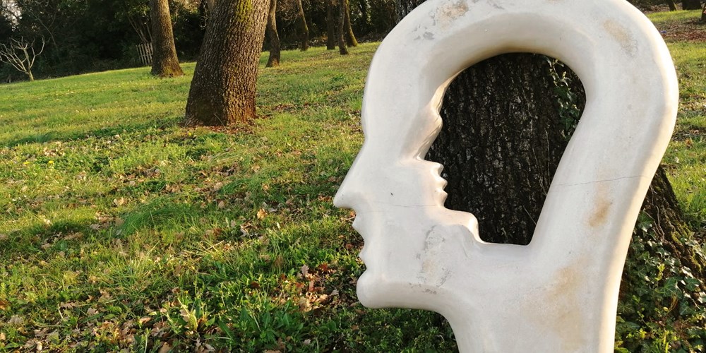 Manuel Kozlović: Percepcija paradoksa