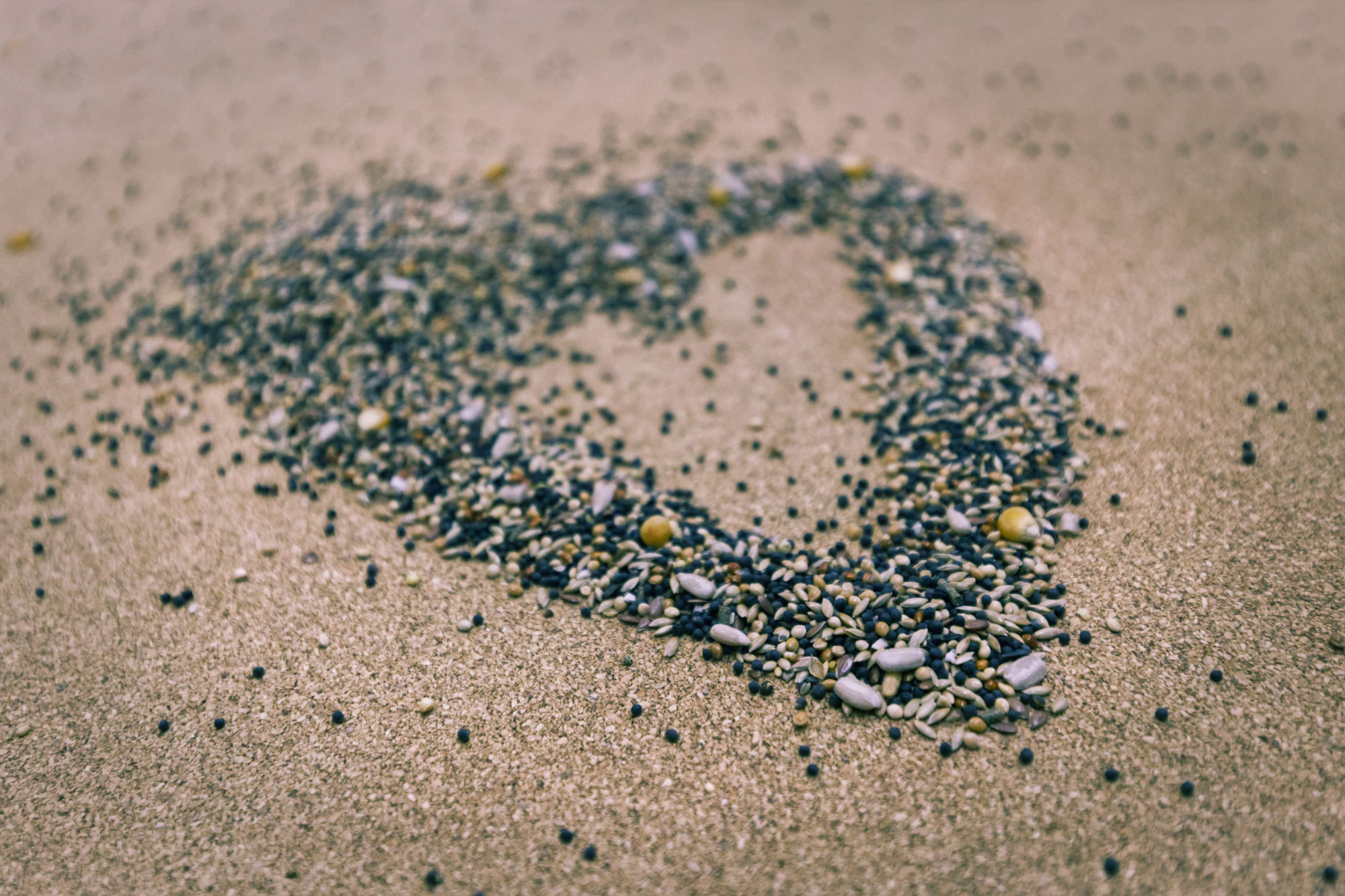 Izrada hranilice za ptice – besplatna dječja radionica