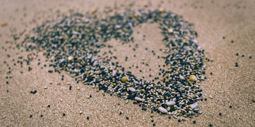 Izrada hranilice za ptice – besplatna dječja radionica