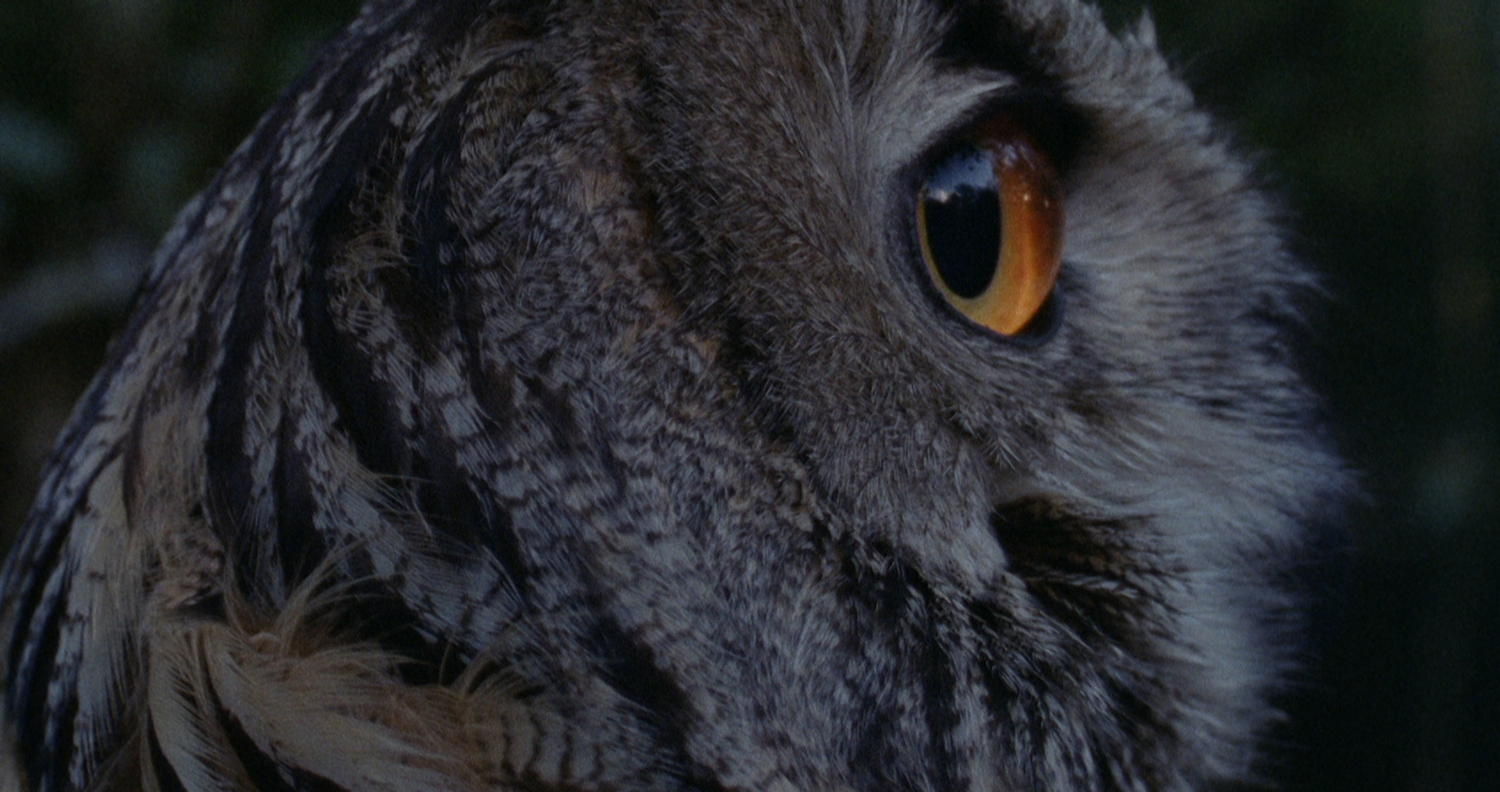 Mjesta koja ćemo disati