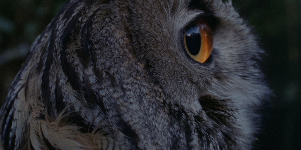 Mjesta koja ćemo disati