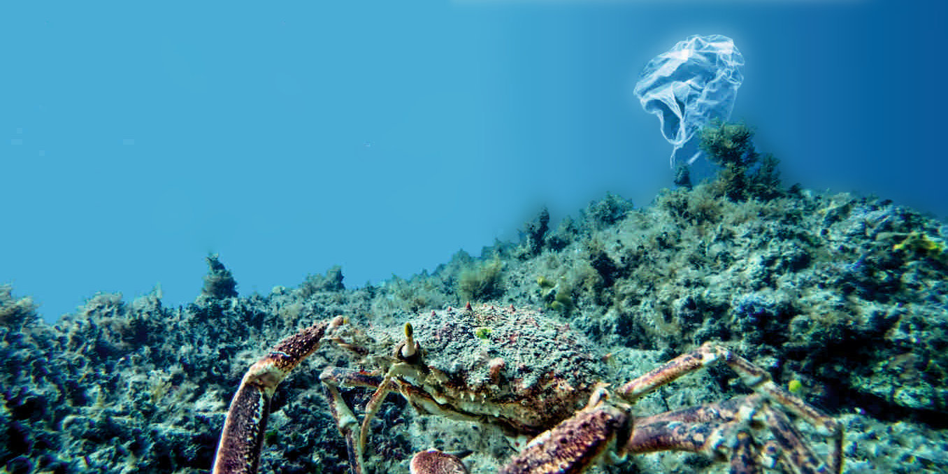 Zajedno za čišći i ljepši grad, za nove naraštaje!