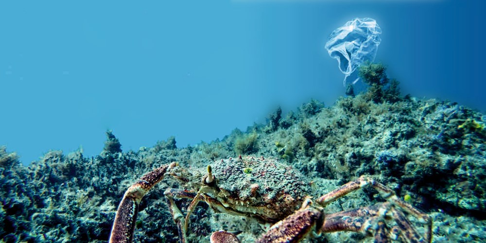 Zajedno za čišći i ljepši grad, za nove naraštaje!