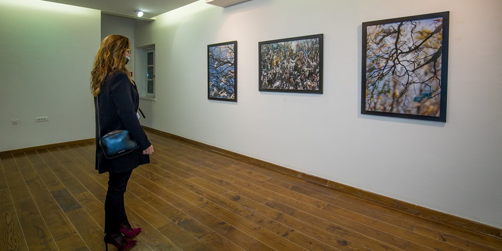 Galerija Zuccato, izložbe u 2022. godini