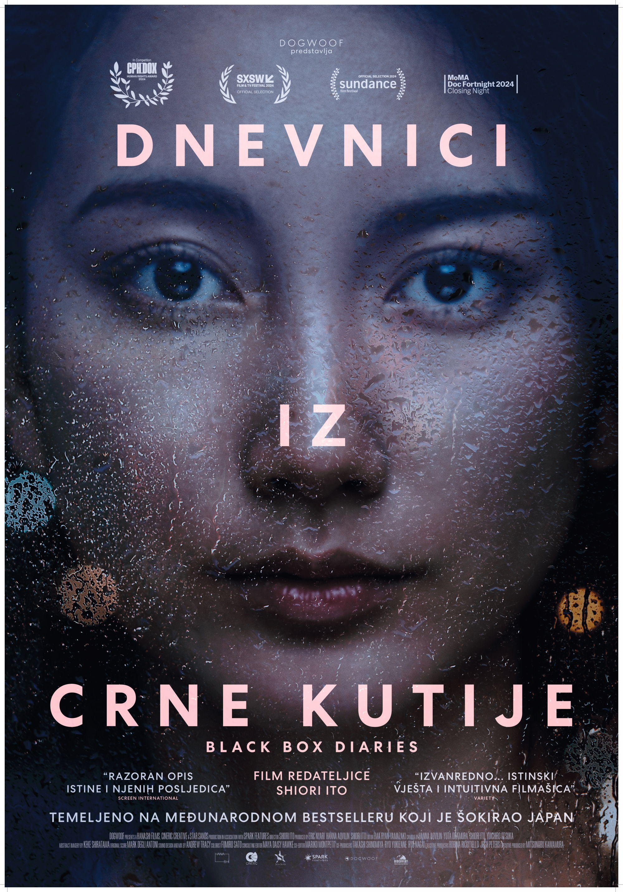 DNEVNICI IZ CRNE KUTIJE