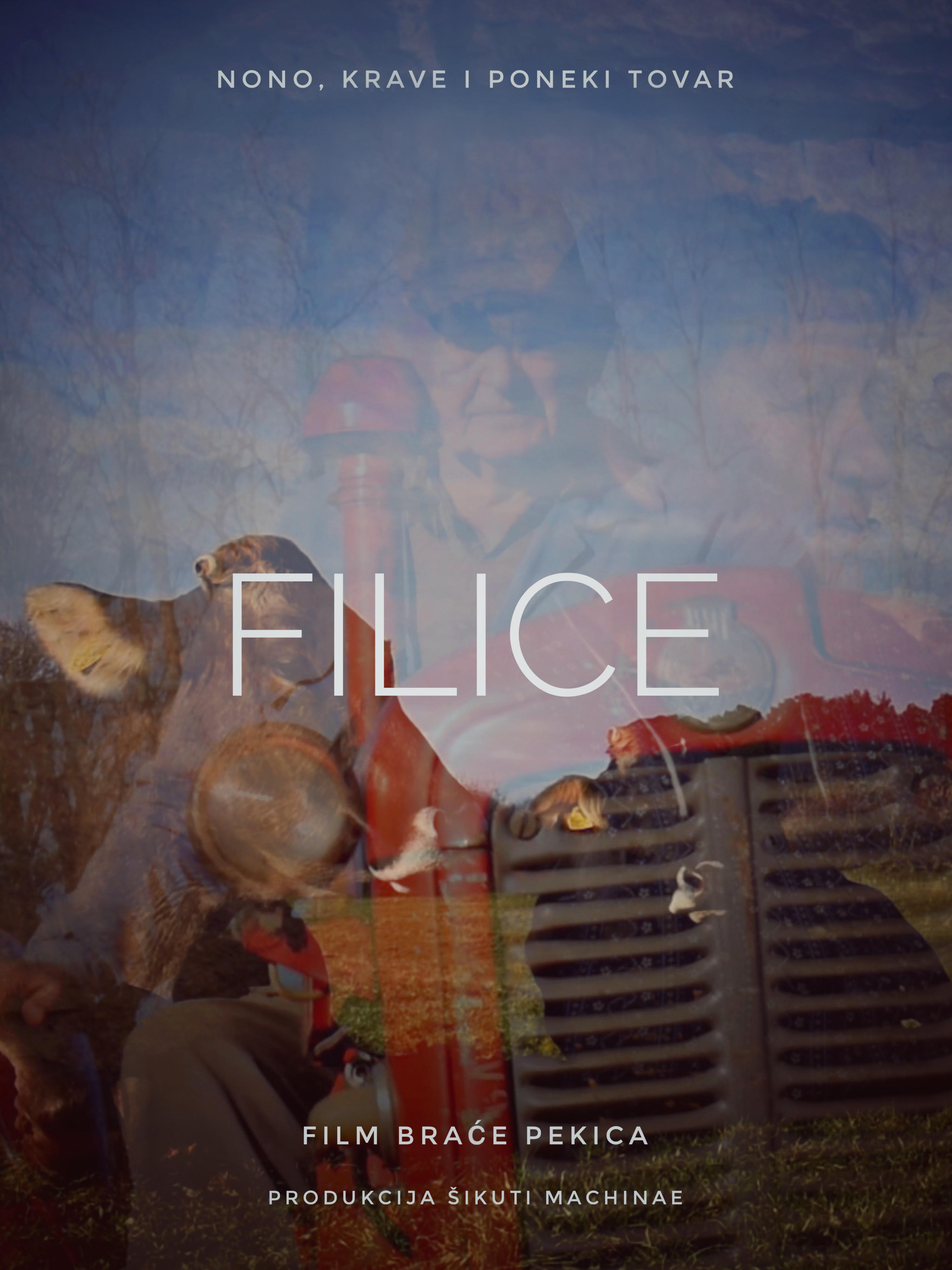 FILICE