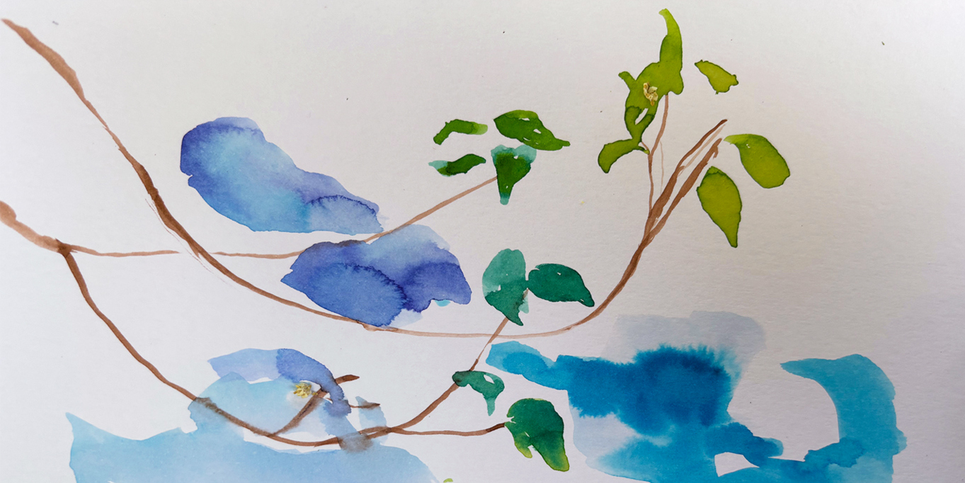 Ida Loher: Dnevni trenutak ljepote