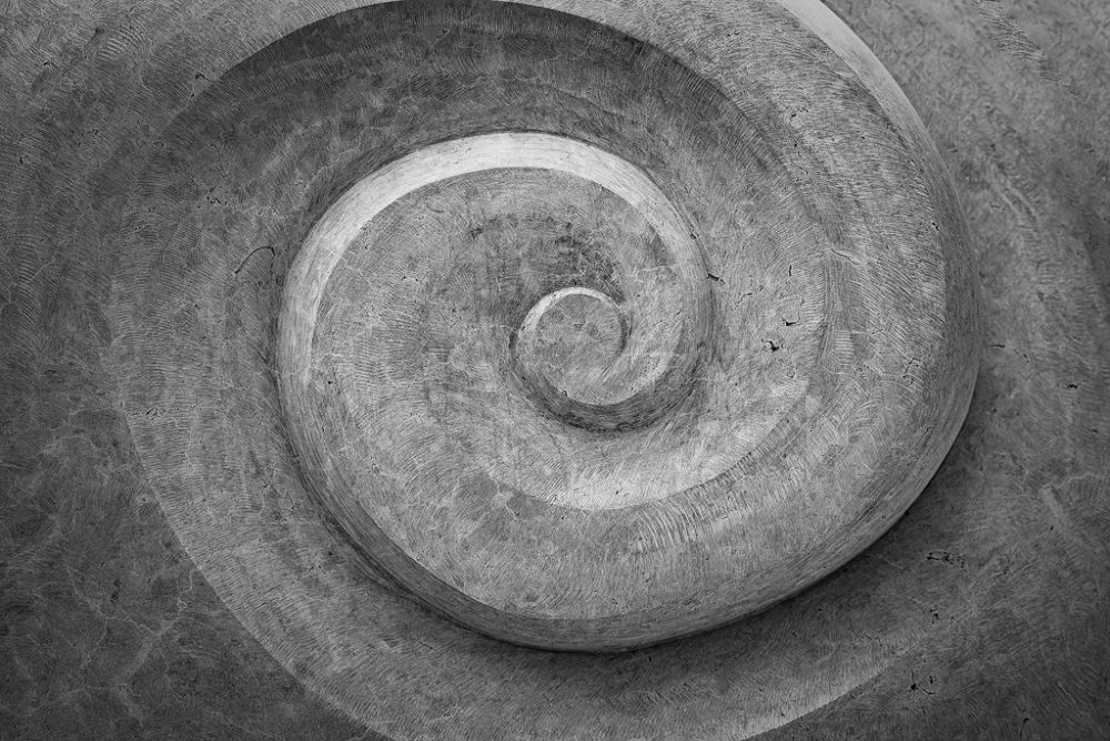 Zvonimir Perić - Vir